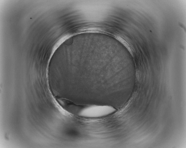 X0000096991482200802221446