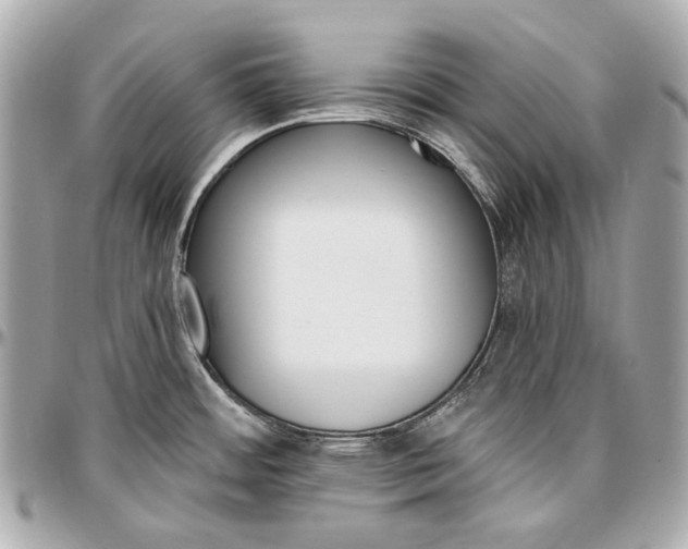 X0000096991484200802221446
