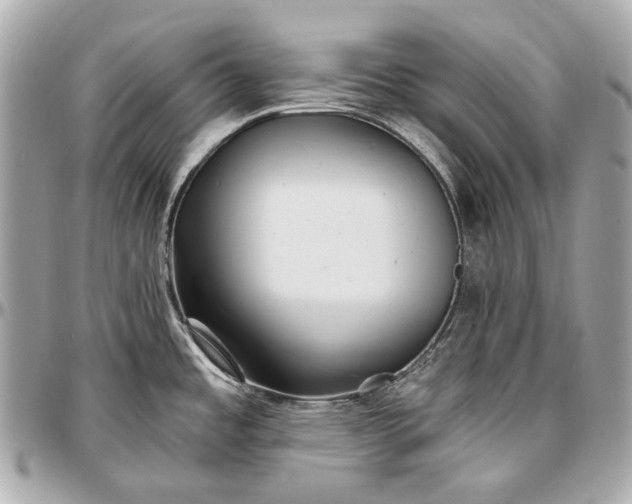 X0000096991485200802221446