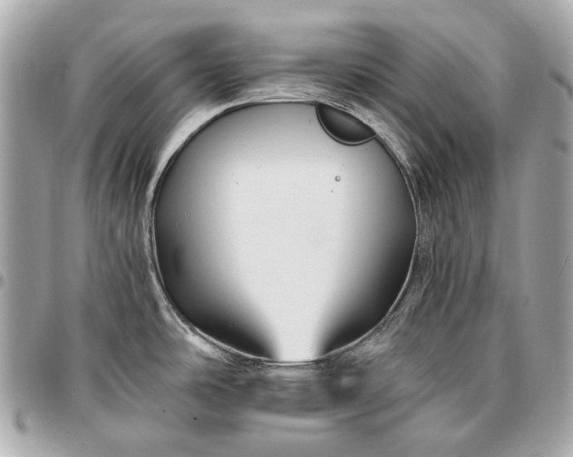 X0000096991486200802221446