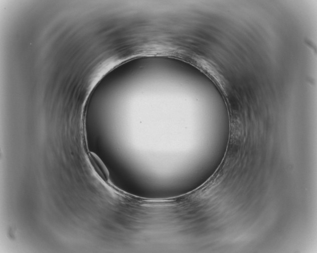 X0000096991487200802221446
