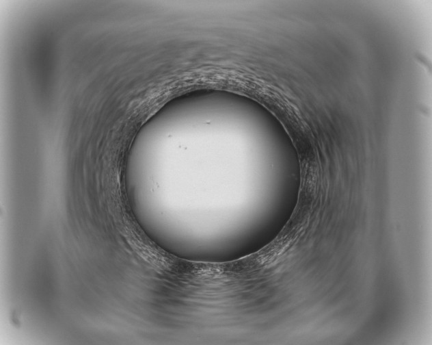 X0000096991489200802221445