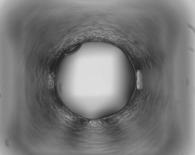 X0000096991491200802221445