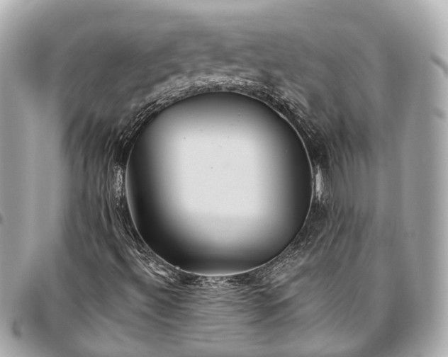 X0000096991492200802221445