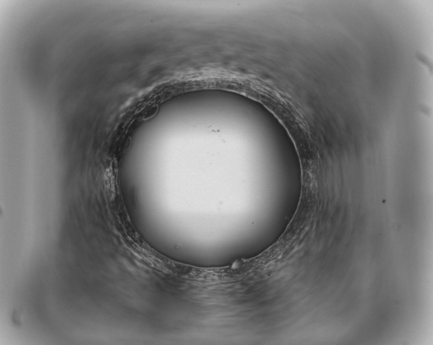 X0000096991493200802221445