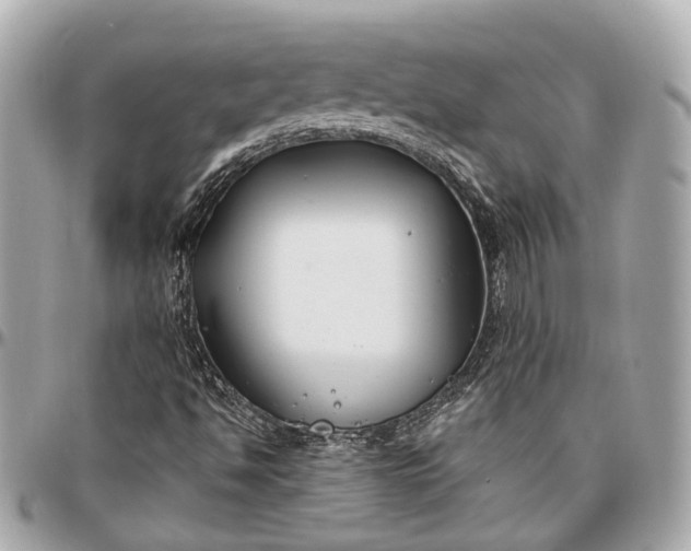 X0000096991494200802221445