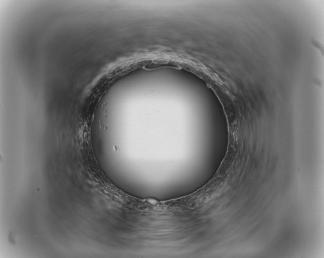 X0000096991495200802221445