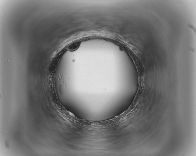 X0000096991496200802221445