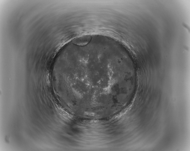 X0000096991497200802221445