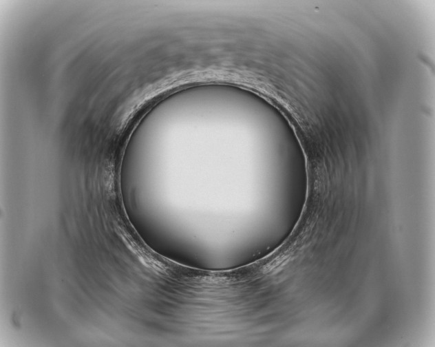 X0000096991499200802221445