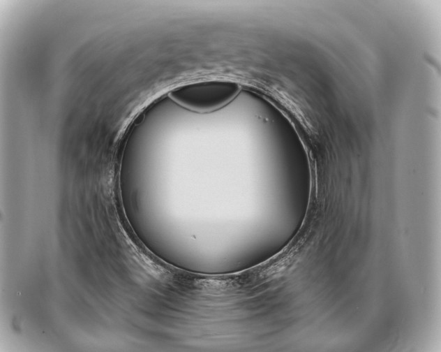 X0000096991500200802221445