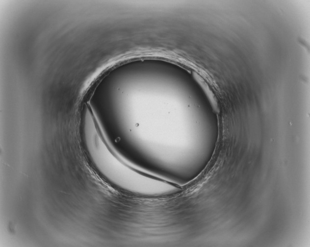 X0000096991502200802221445