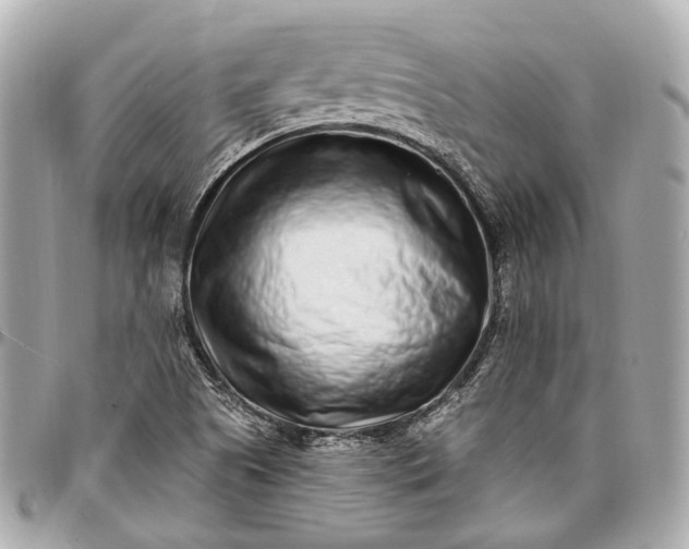 X0000096991505200802221445