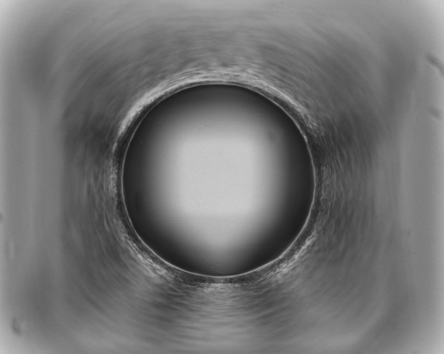 X0000096991506200802221445