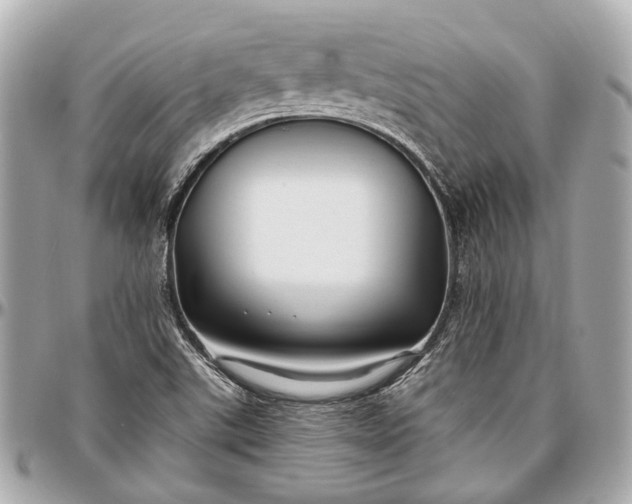 X0000096991507200802221445