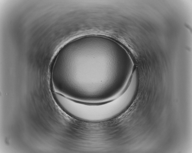 X0000096991508200802221445