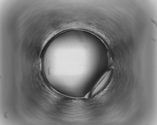 X0000096991509200802221445