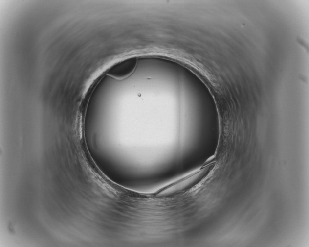 X0000096991510200802221445