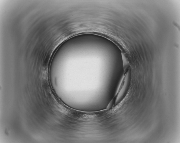 X0000096991513200802221445