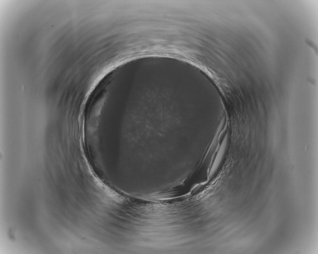 X0000096991515200802221445