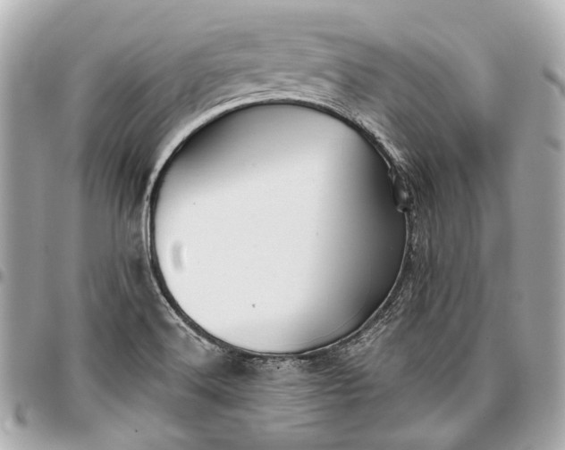X0000096991516200802221445