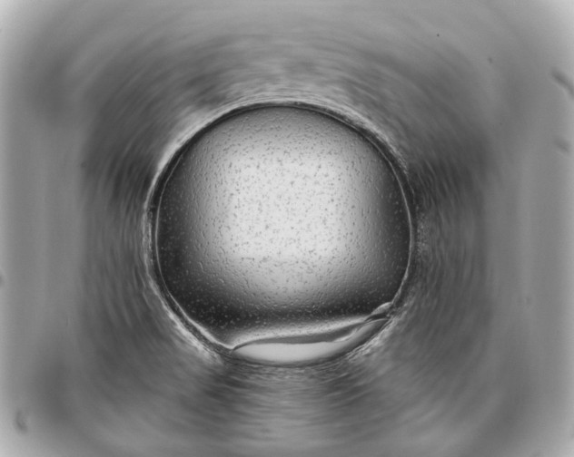 X0000096991517200802221445