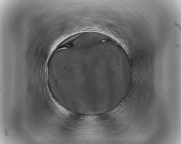 X0000096991519200802221445