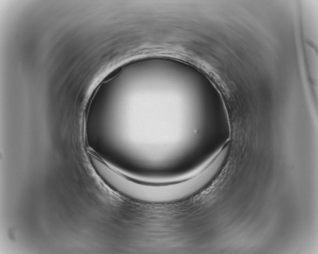 X0000096991520200802221445