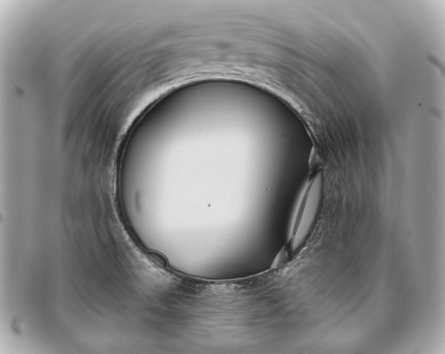X0000096991523200802221445