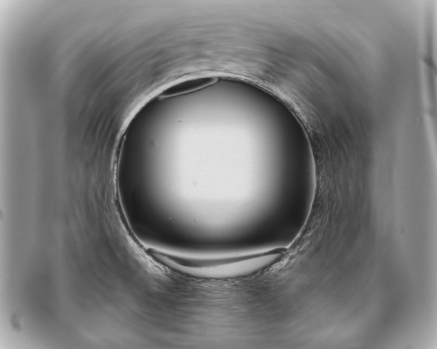 X0000096991524200802221445