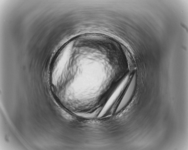 X0000096991525200802221445