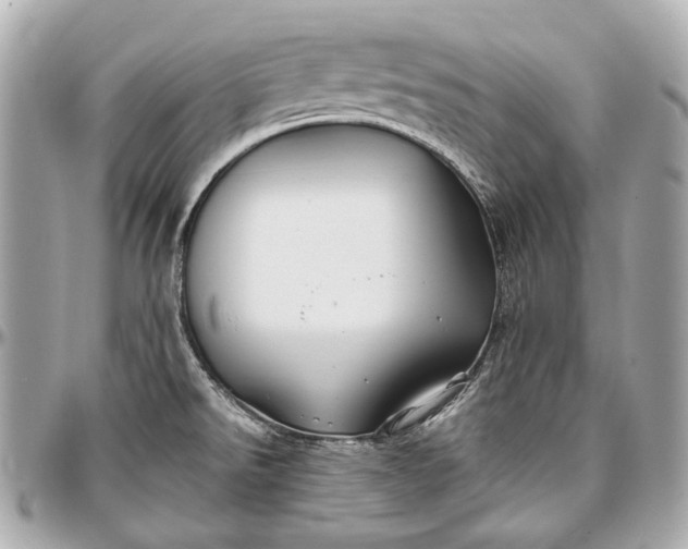 X0000096991526200802221445