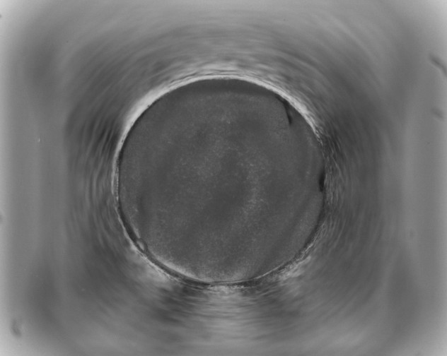 X0000096991527200802221445