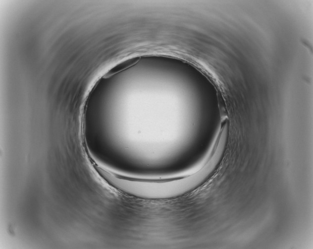 X0000096991528200802221445