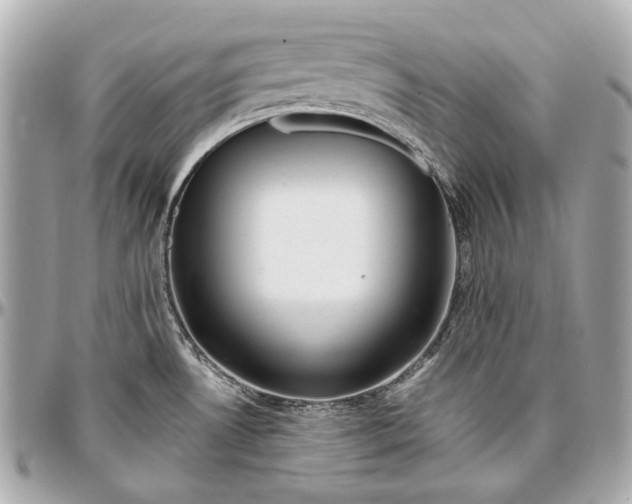 X0000096991530200802221445