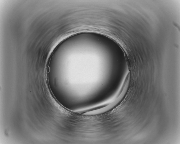 X0000096991531200802221445