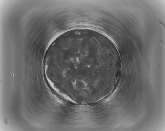 X0000096991533200802221445