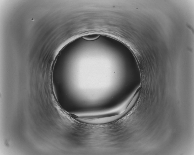 X0000096991534200802221445