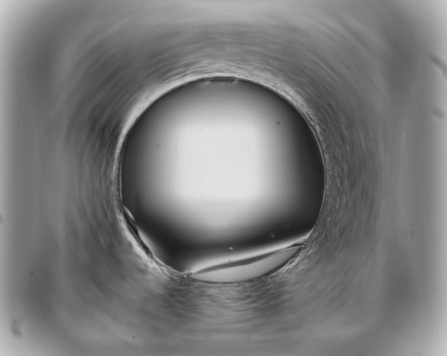 X0000096991536200802221446