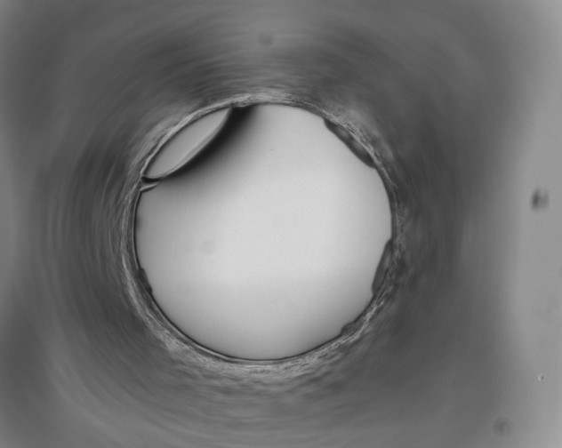 X0000096990001200802291220