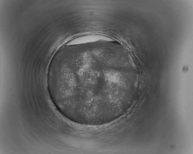 X0000096990002200802291220