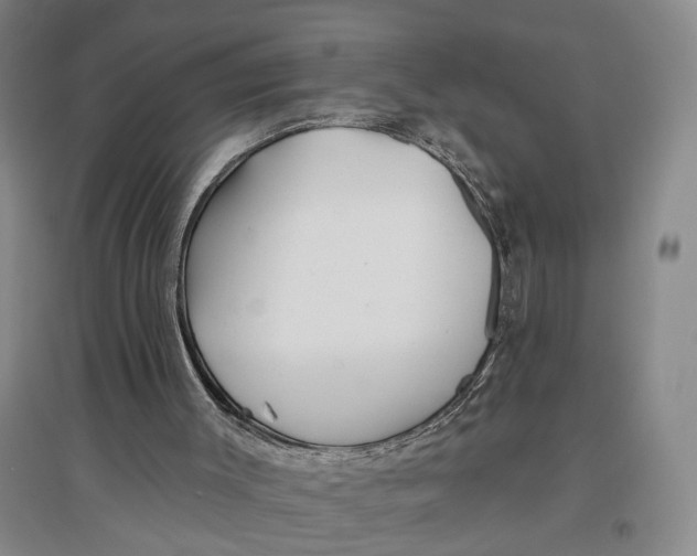 X0000096990003200802291220