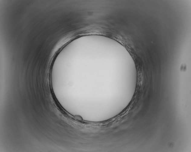 X0000096990004200802291220