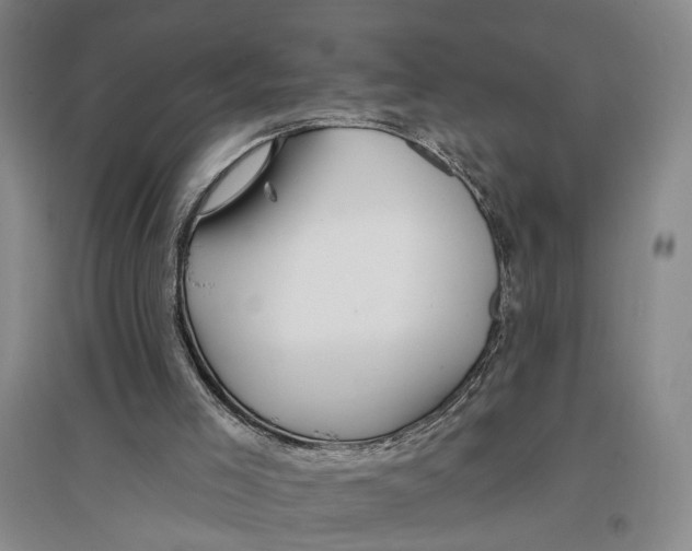 X0000096990005200802291220