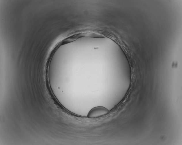 X0000096990006200802291220