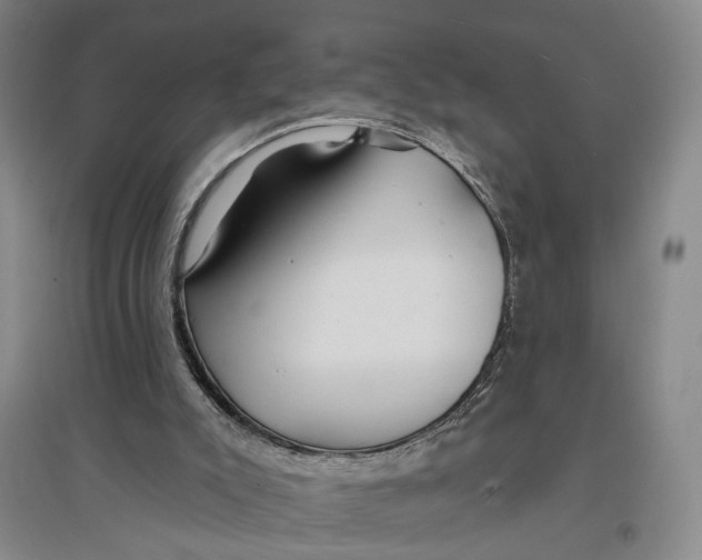 X0000096990007200802291220