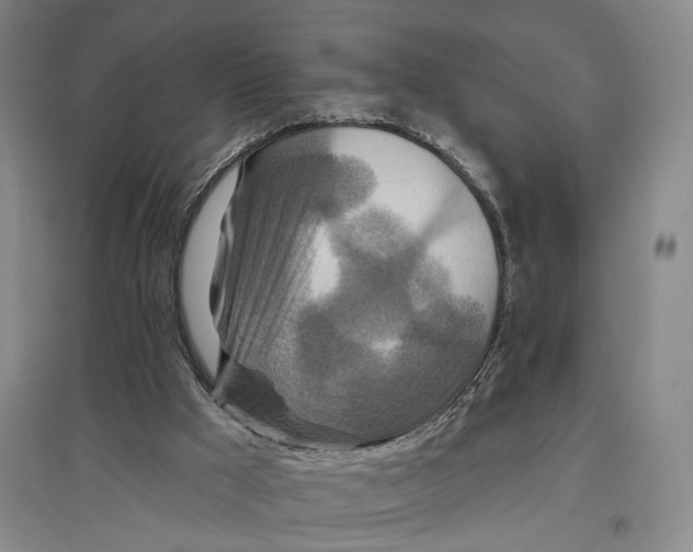 X0000096990009200802291220