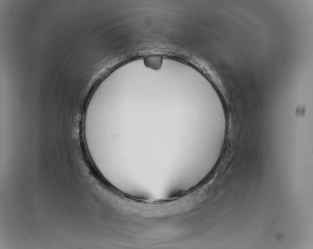 X0000096990010200802291220