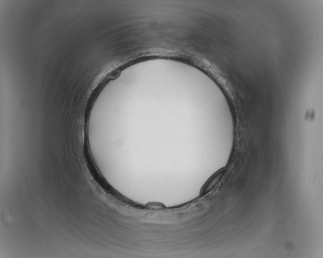 X0000096990011200802291220