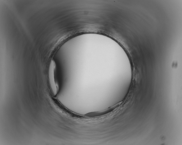 X0000096990013200802291220